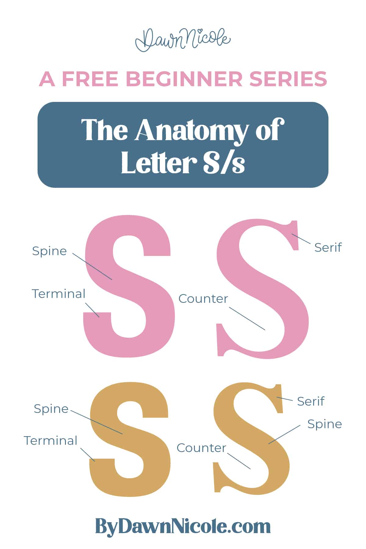 Learn the anatomy of the letter S, including uppercase and lowercase structures, key parts, and tips to improve your lettering!