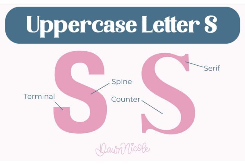 Learn the anatomy of the letter S, including uppercase and lowercase structures, key parts, and tips to improve your lettering!