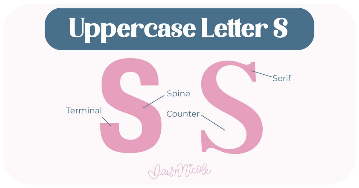 Learn the anatomy of the letter S, including uppercase and lowercase structures, key parts, and tips to improve your lettering!