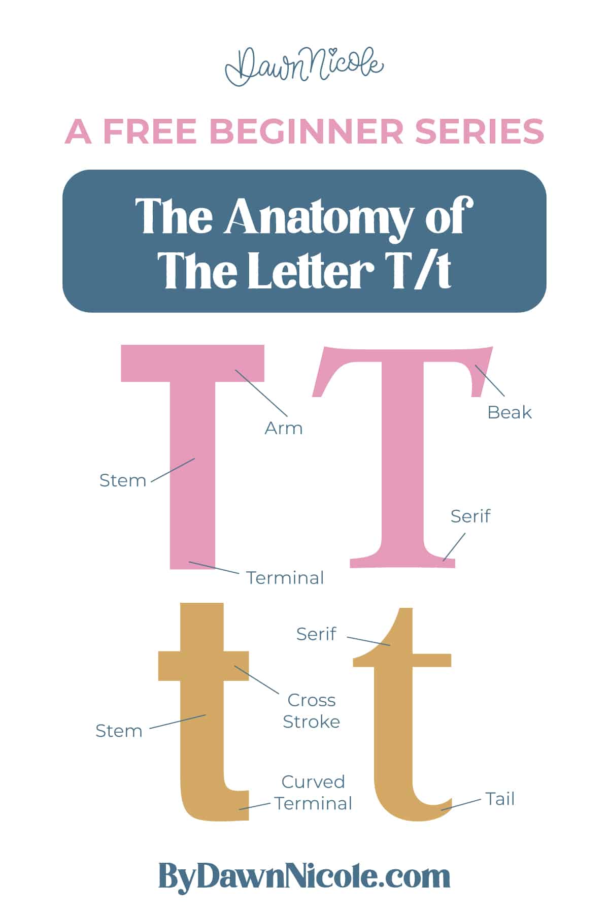 Learn the anatomy of the letter T, including uppercase and lowercase structures, key parts, and tips to improve your lettering!