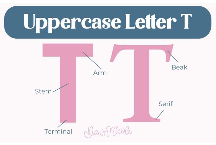 Learn the anatomy of the letter T, including uppercase and lowercase structures, key parts, and tips to improve your lettering!