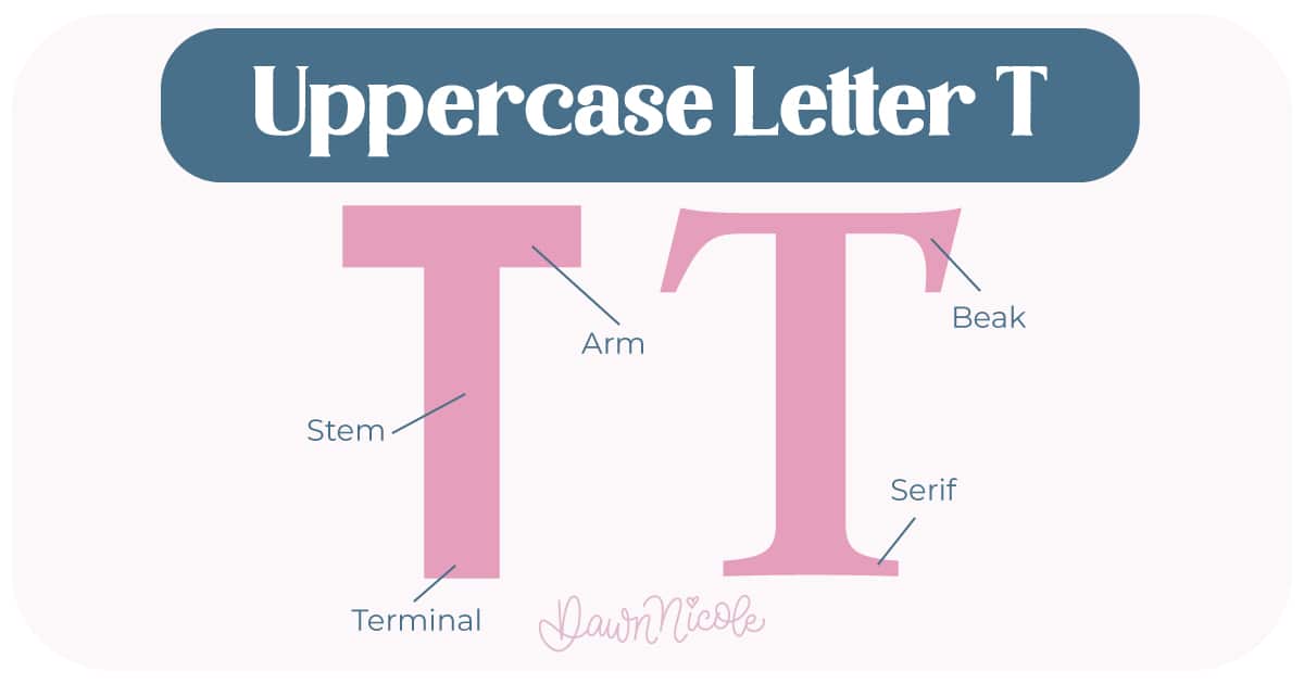 Learn the anatomy of the letter T, including uppercase and lowercase structures, key parts, and tips to improve your lettering!