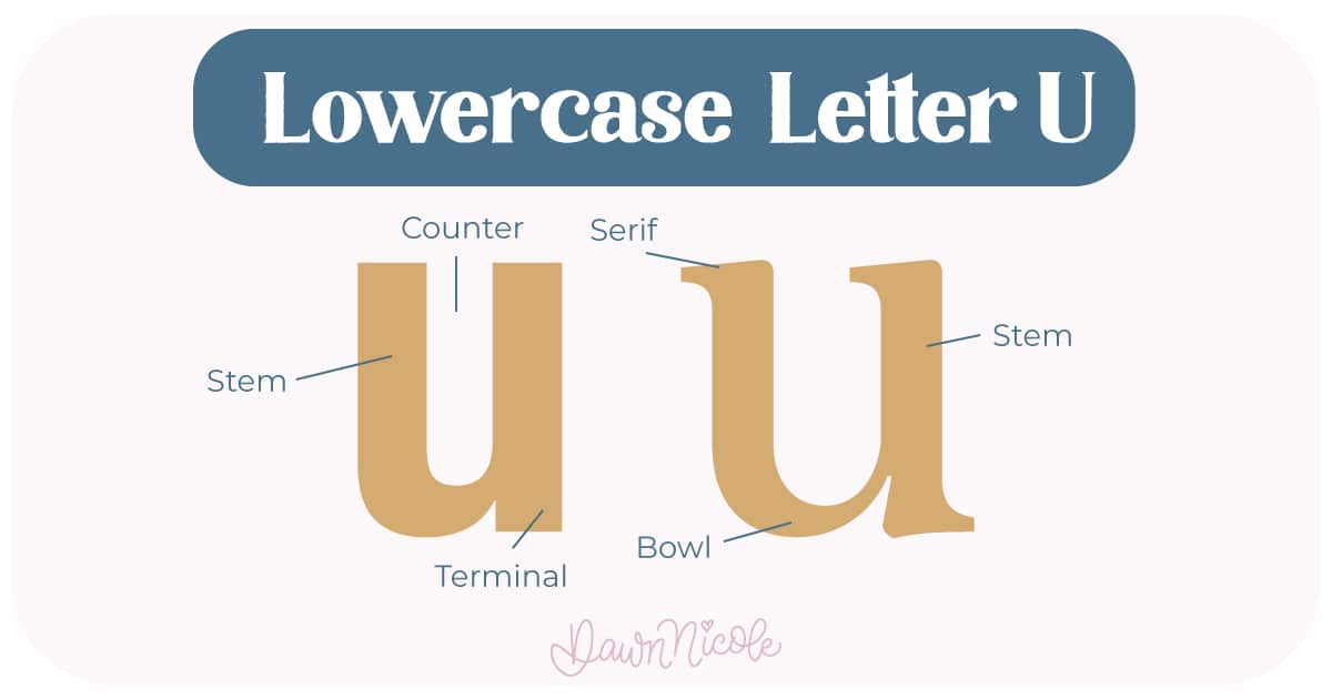 Learn the anatomy of the letter U, including uppercase and lowercase structures, key parts, and tips to improve your lettering!