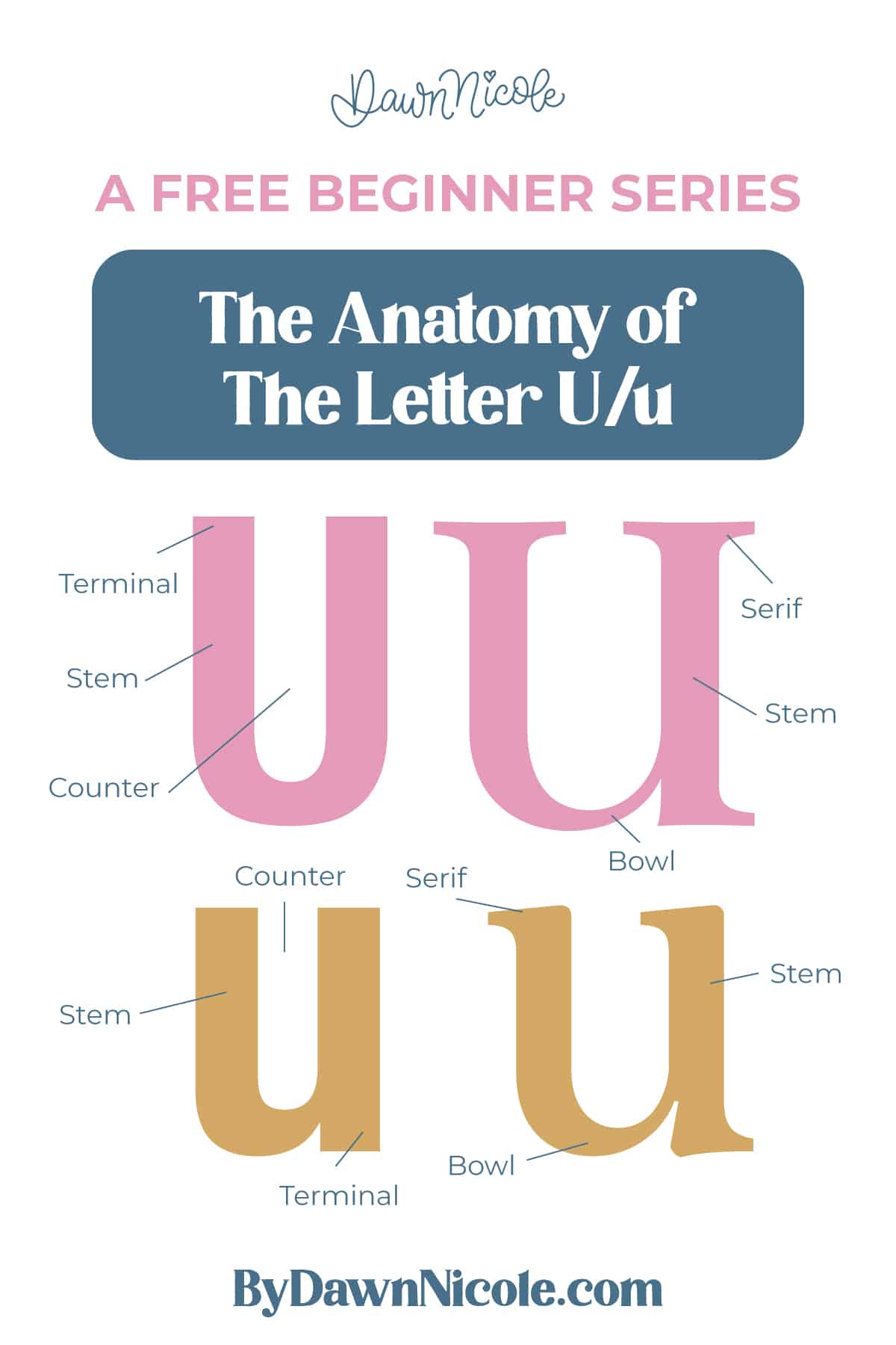 Learn the anatomy of the letter U, including uppercase and lowercase structures, key parts, and tips to improve your lettering!