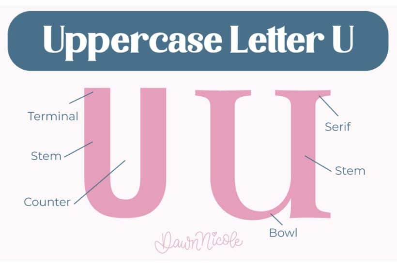 Learn the anatomy of the letter U, including uppercase and lowercase structures, key parts, and tips to improve your lettering!