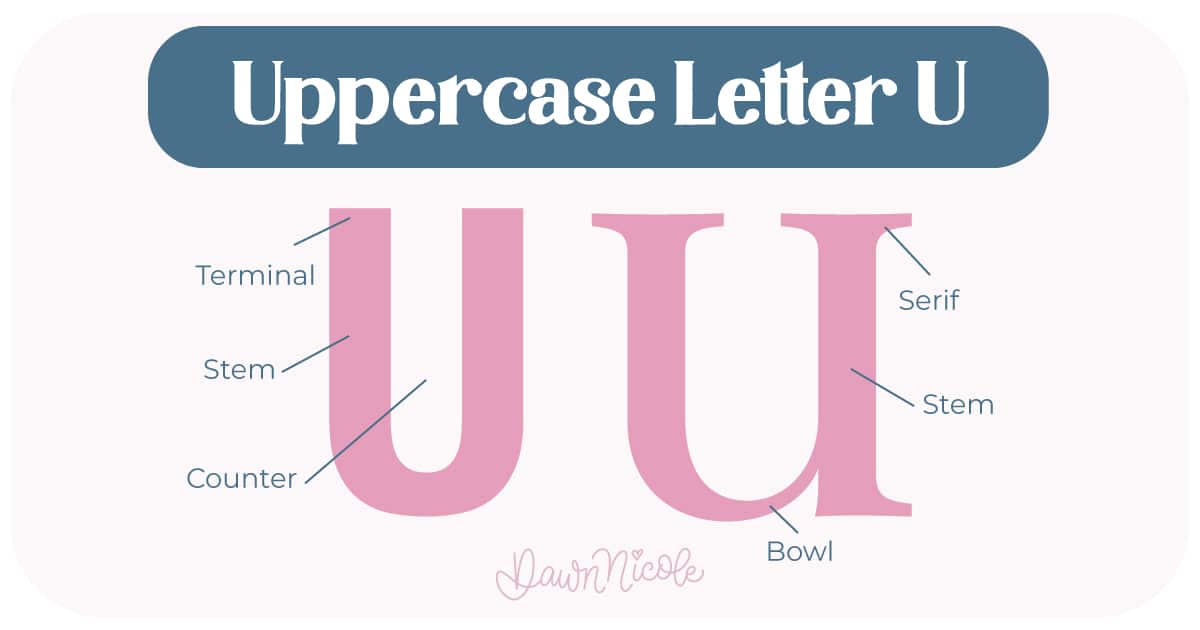 Learn the anatomy of the letter U, including uppercase and lowercase structures, key parts, and tips to improve your lettering!