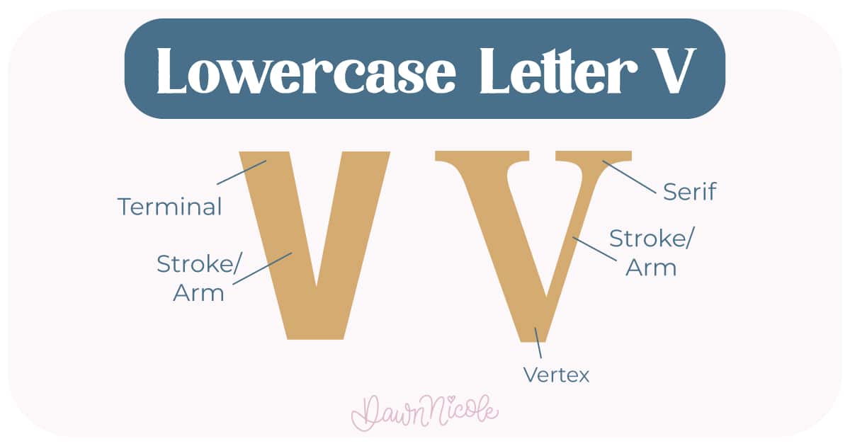 Learn the anatomy of the letter V, including uppercase and lowercase structures, key parts, and tips to improve your lettering!