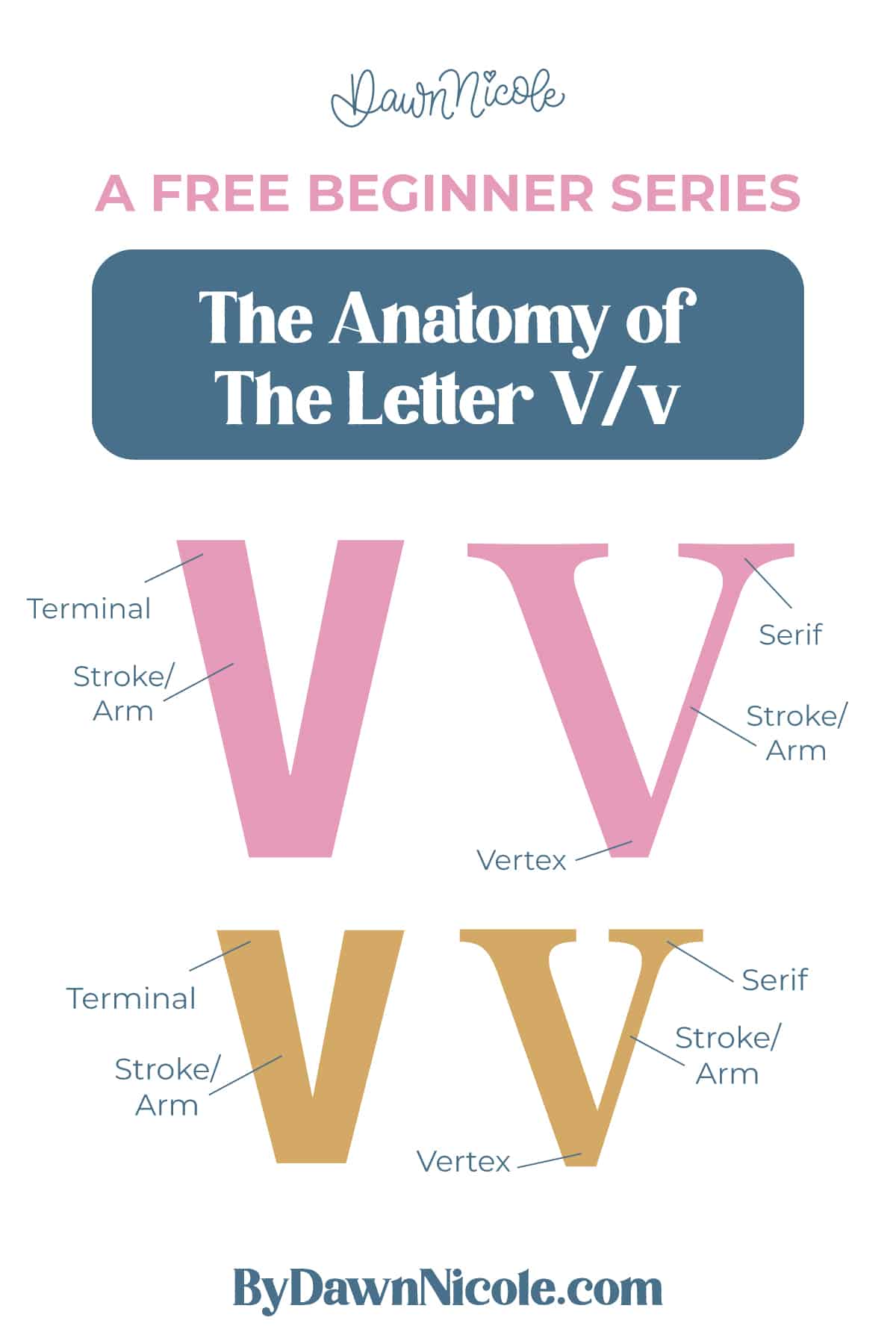 Learn the anatomy of the letter V, including uppercase and lowercase structures, key parts, and tips to improve your lettering!