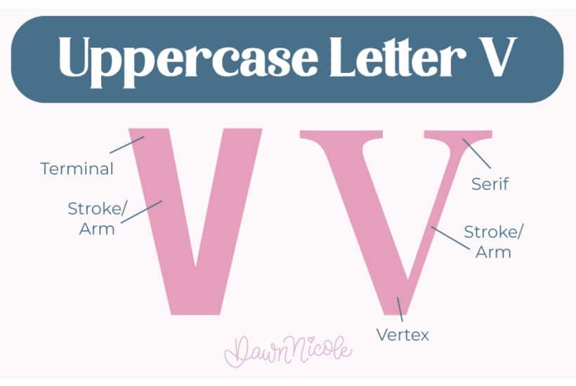 Learn the anatomy of the letter V, including uppercase and lowercase structures, key parts, and tips to improve your lettering!