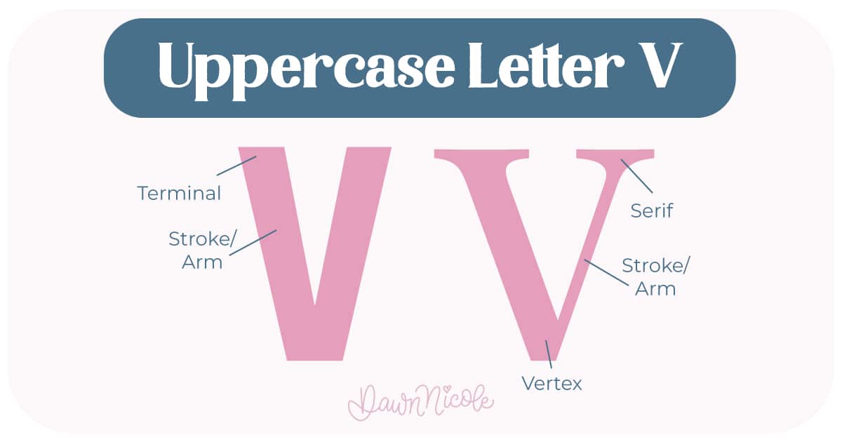 Learn the anatomy of the letter V, including uppercase and lowercase structures, key parts, and tips to improve your lettering!