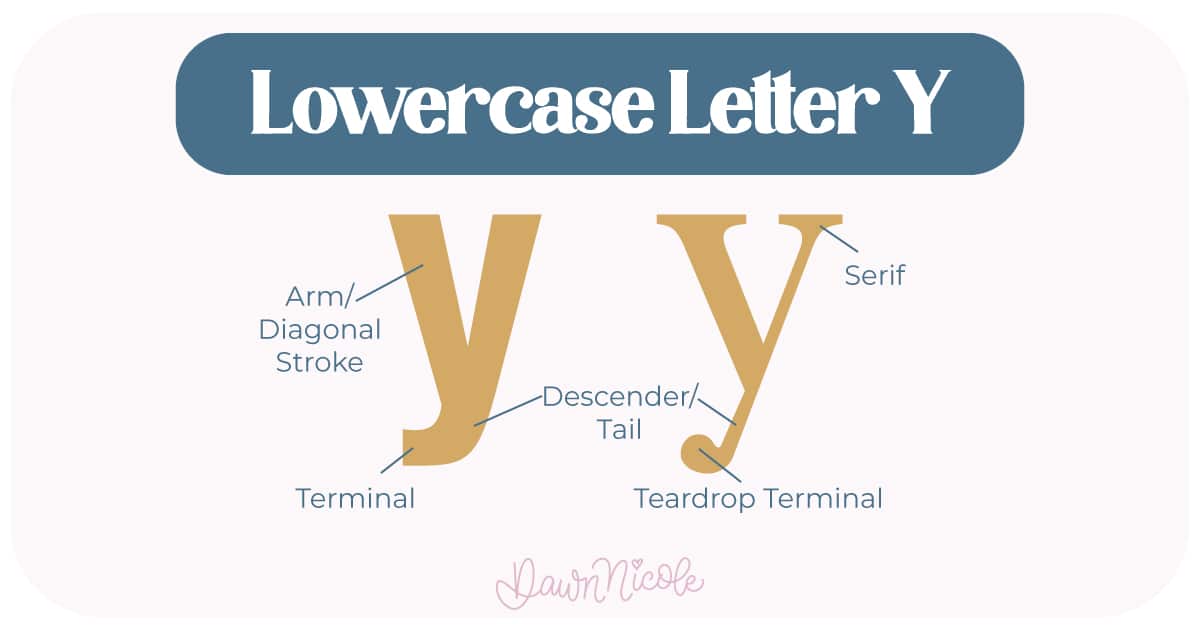 Learn the anatomy of the letter Y, including uppercase and lowercase structures, key parts, and tips to improve your lettering!