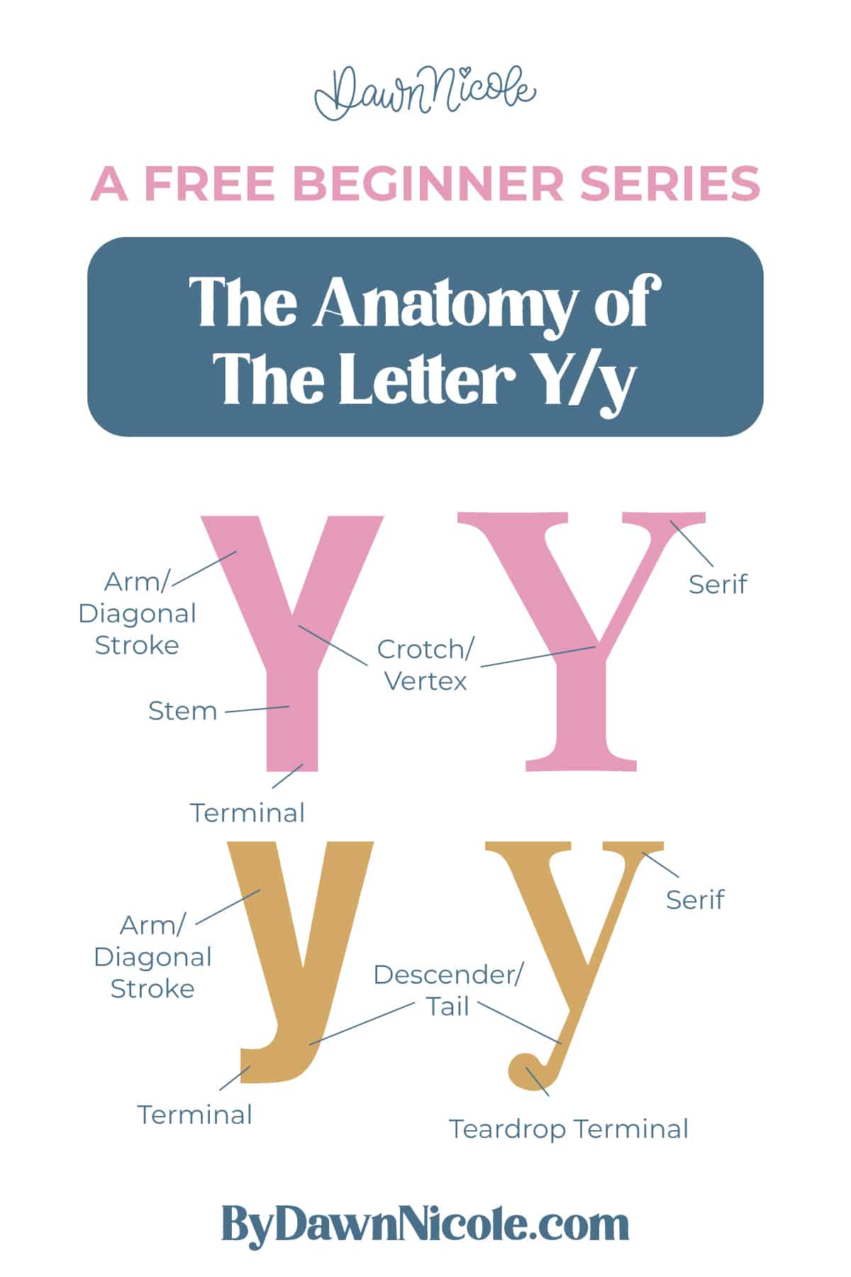 Learn the anatomy of the letter Y, including uppercase and lowercase structures, key parts, and tips to improve your lettering!