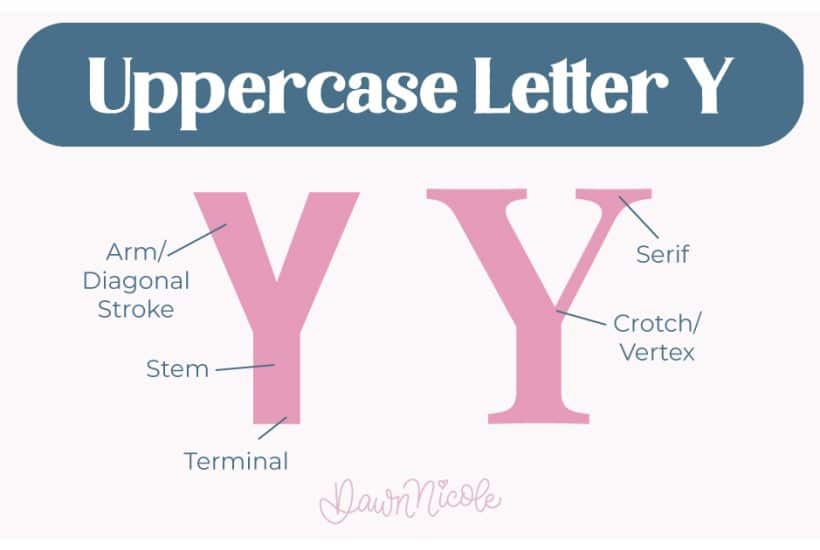 Learn the anatomy of the letter Y, including uppercase and lowercase structures, key parts, and tips to improve your lettering!
