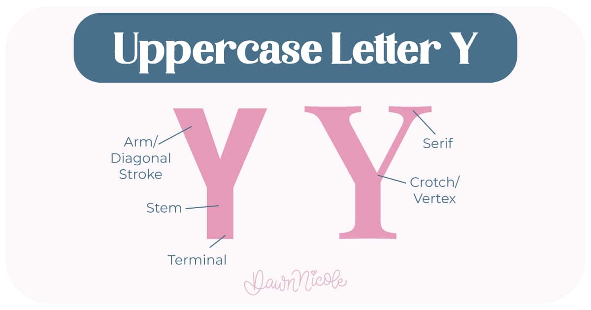 Learn the anatomy of the letter Y, including uppercase and lowercase structures, key parts, and tips to improve your lettering!