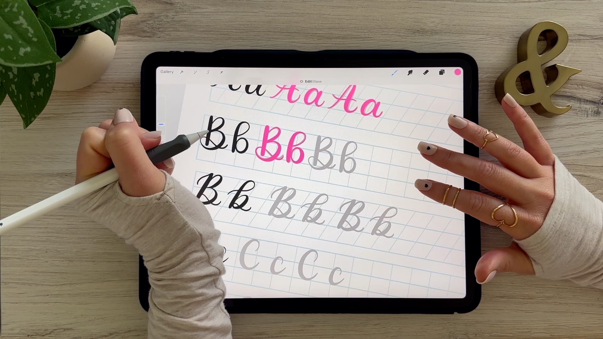 Calligraphy B: Uppercase & Lowercase (Video Tutorial). Learn to draw the letter B in this step-by-step brush calligraphy video tutorial for beginners. Follow along with paper or Procreate!