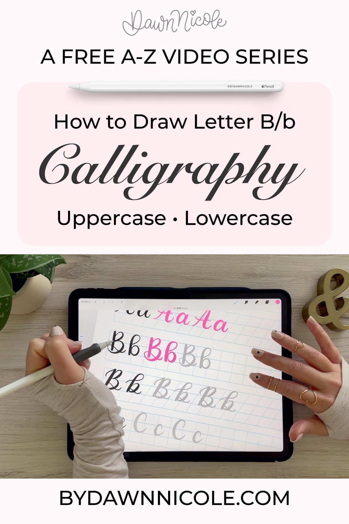 Calligraphy B: Uppercase & Lowercase (Video Tutorial). Learn to draw the letter B in this step-by-step brush calligraphy video tutorial for beginners. Follow along with paper or Procreate!