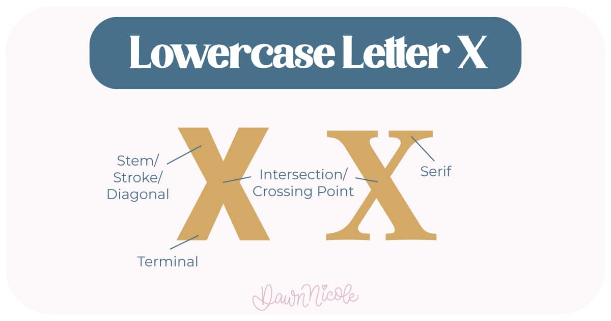 Learn the anatomy of the letter X, including uppercase and lowercase structures, key parts, and tips to improve your lettering!