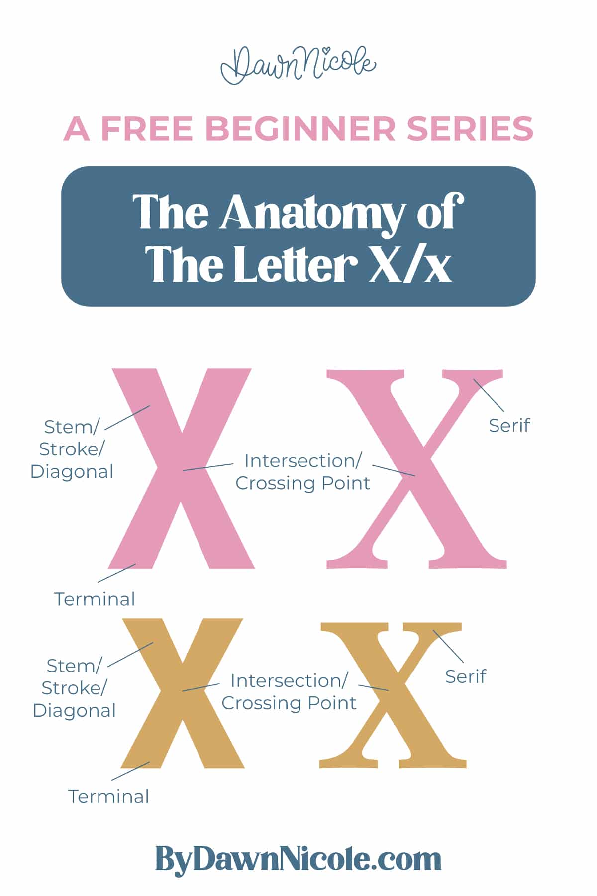 Learn the anatomy of the letter X, including uppercase and lowercase structures, key parts, and tips to improve your lettering!