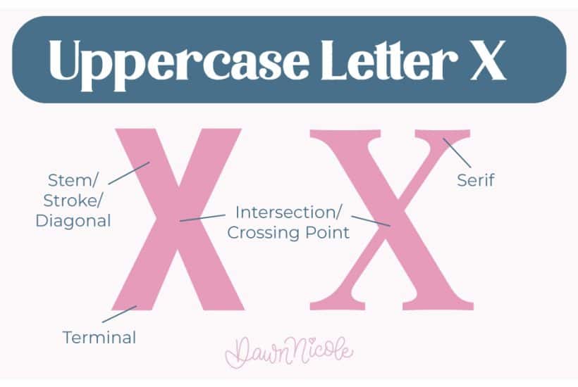 Learn the anatomy of the letter X, including uppercase and lowercase structures, key parts, and tips to improve your lettering!