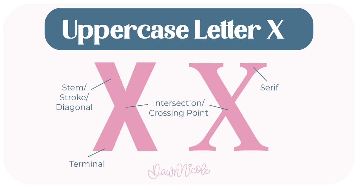Learn the anatomy of the letter X, including uppercase and lowercase structures, key parts, and tips to improve your lettering!