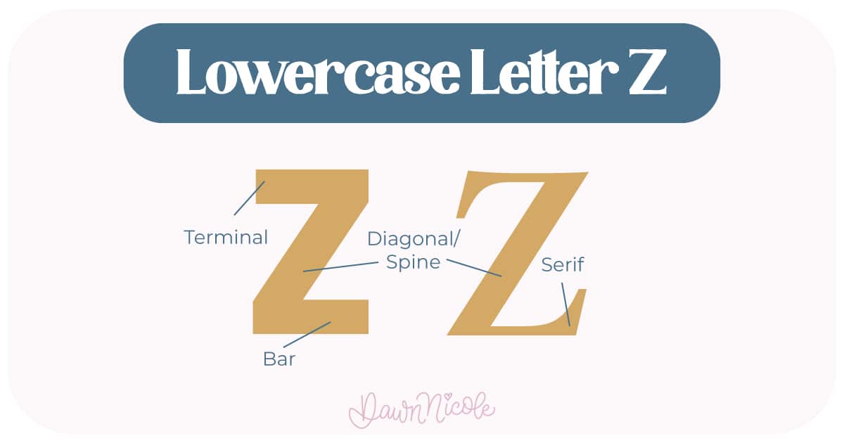 Learn the anatomy of the letter Z, including uppercase and lowercase structures, key parts, and tips to improve your lettering!
