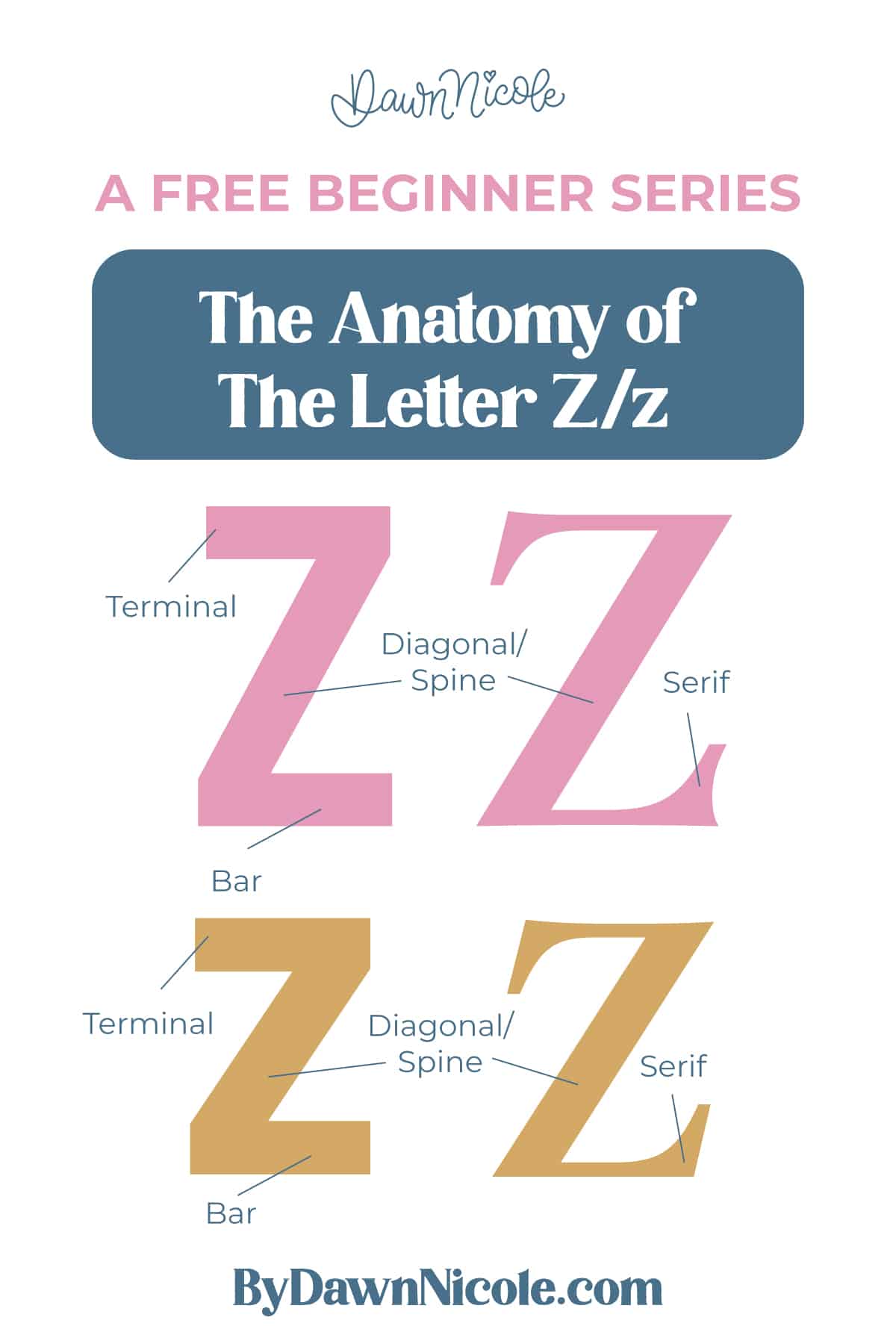 Learn the anatomy of the letter Z, including uppercase and lowercase structures, key parts, and tips to improve your lettering!