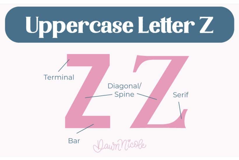 Learn the anatomy of the letter Z, including uppercase and lowercase structures, key parts, and tips to improve your lettering!