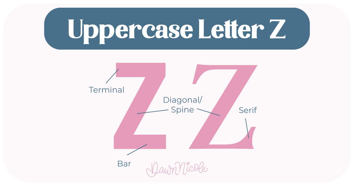 Learn the anatomy of the letter Z, including uppercase and lowercase structures, key parts, and tips to improve your lettering!