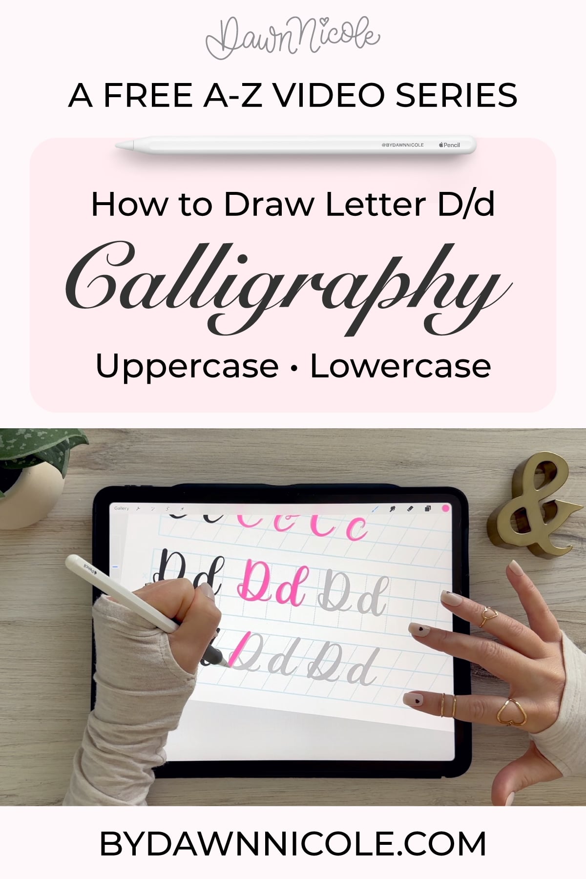 Learn to draw the letter D in this step-by-step brush calligraphy video tutorial for beginners. Follow along with paper or Procreate!