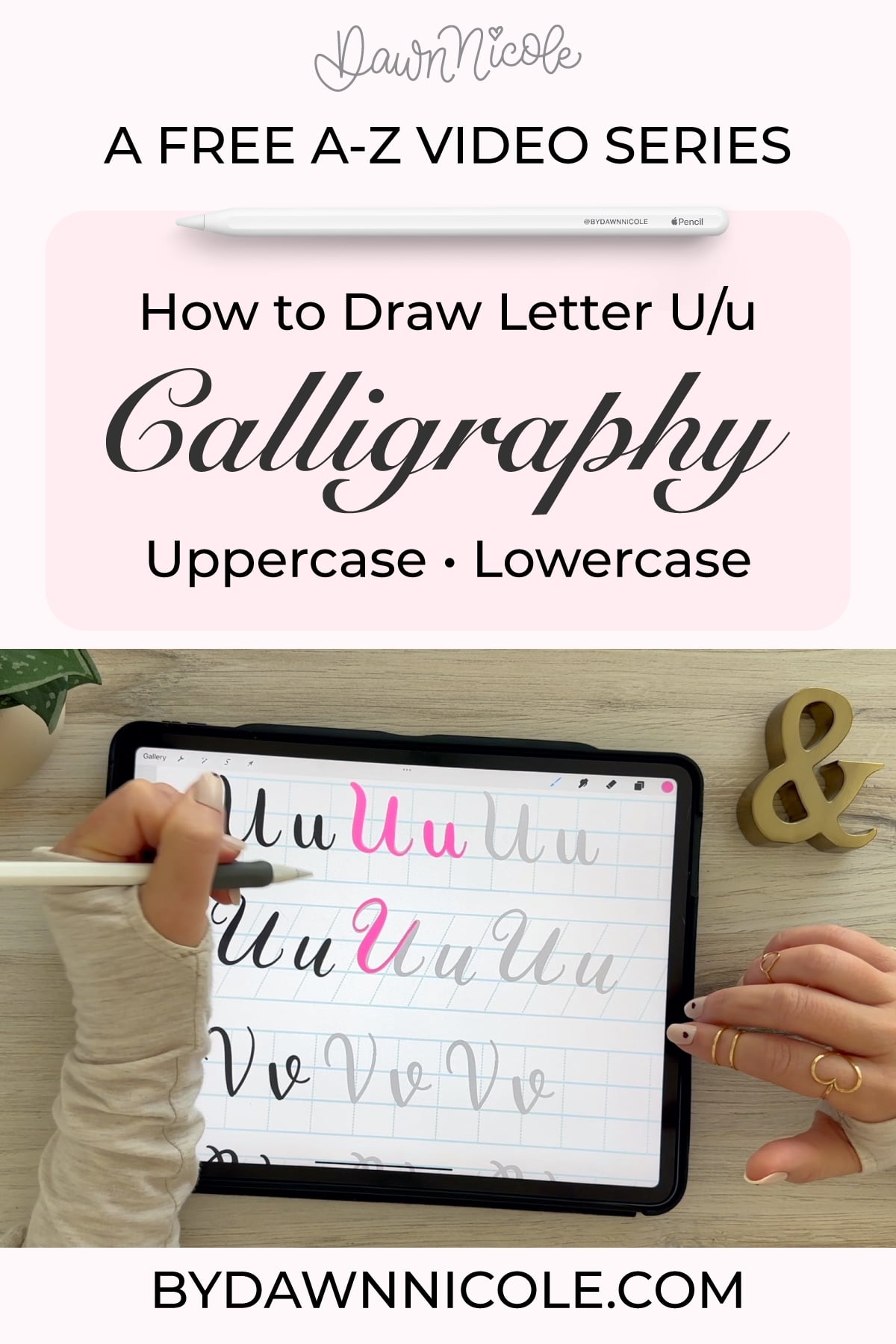 Calligraphy U: Uppercase & Lowercase (Video Tutorial). Learn to draw the letter U in this step-by-step brush calligraphy video tutorial for beginners. Follow along with paper or Procreate!