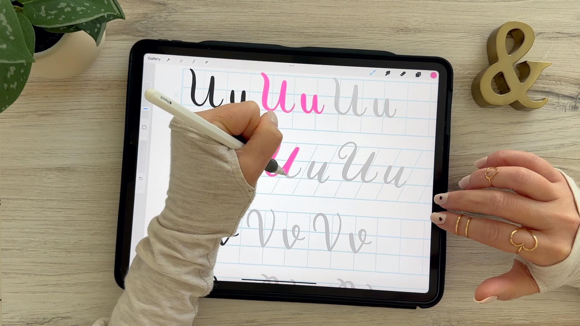 Learn to draw the letter U in this step-by-step brush calligraphy video tutorial for beginners. Follow along with paper or Procreate!