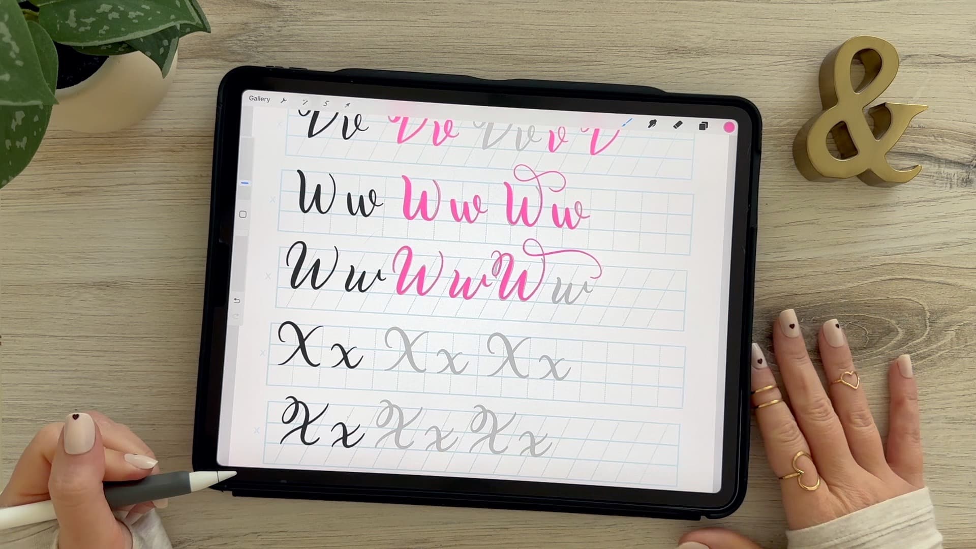 Learn to draw the letter W in this step-by-step brush calligraphy video tutorial for beginners. Follow along with paper or Procreate!